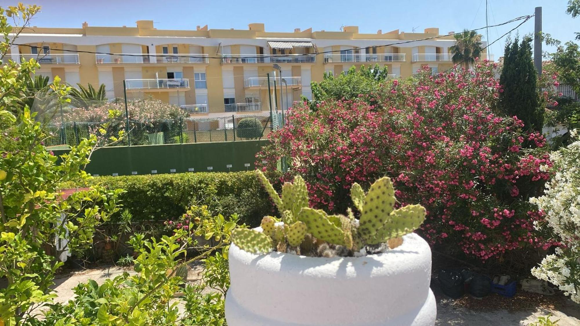 Chalet Denia Playa Primera Lineaヴィラ エクステリア 写真